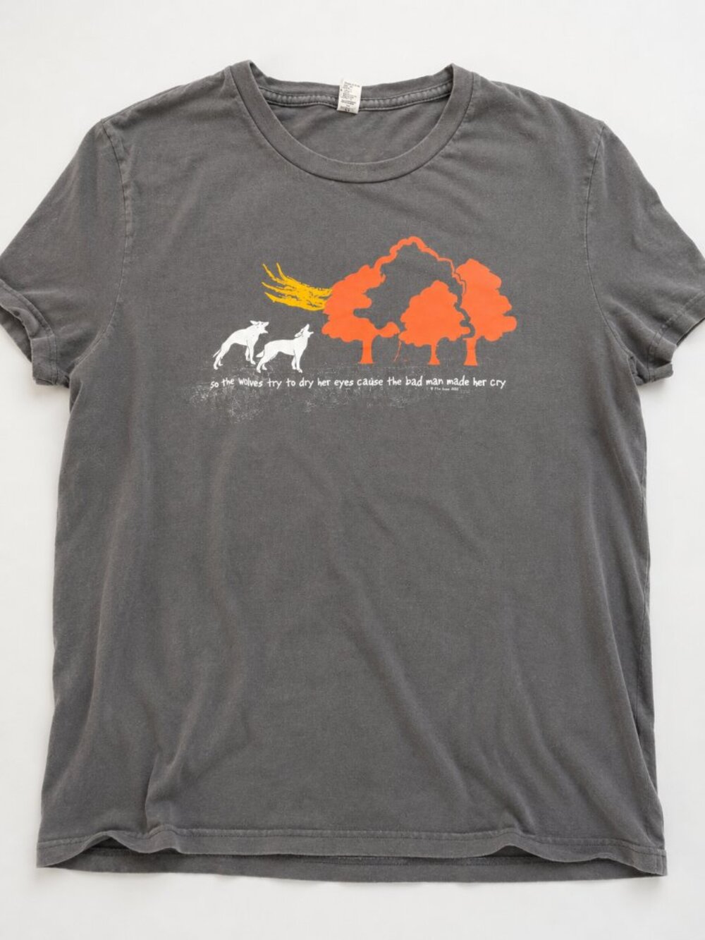 Vintage 2007 Tori Amos American Doll Posse Tour Graphic Band Tee XL - Picture 2 of 6